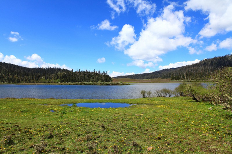 ????? ?? ???? ???, ????(碧沽天池)