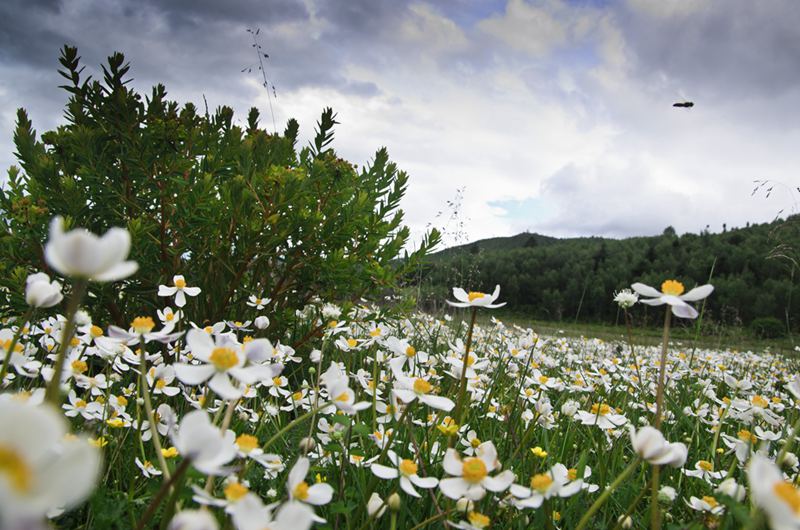 ????? ?? ???? ???, ????(碧沽天池)