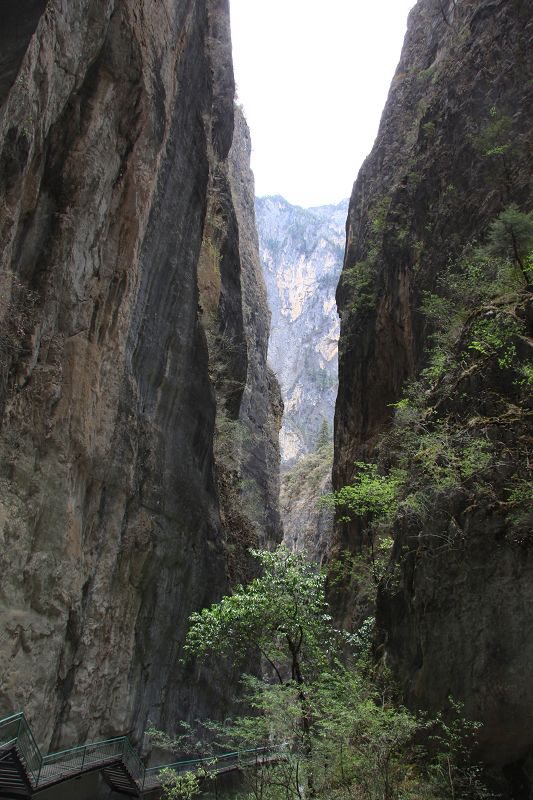 ????? ?? ???? ???, ????(巴拉格宗) ???