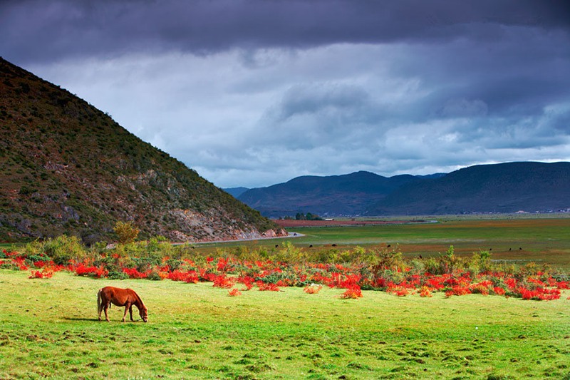 ????? ?? ???? ???,???(普達措)??????