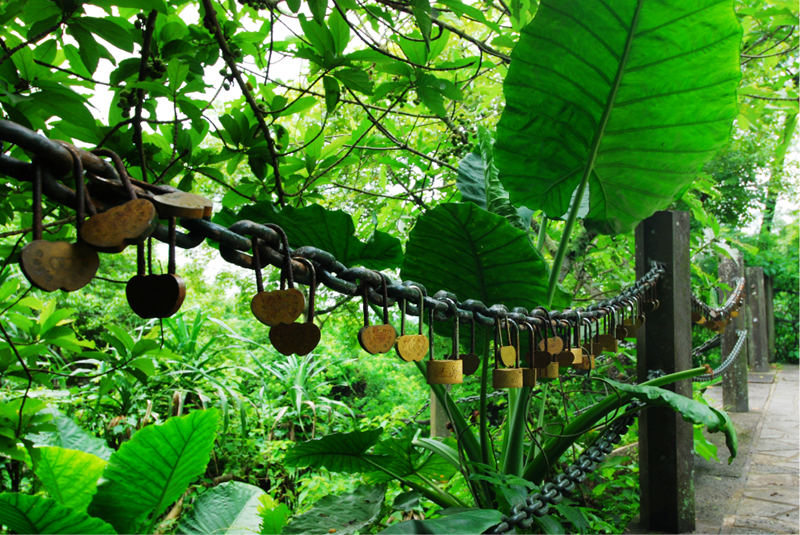 ????(?？?? ?? 10? ??? '??(石山) ???(火山群)??????'