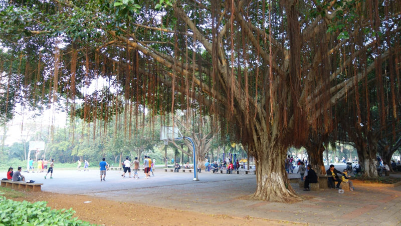 ????(?？?? ?? 10? ??? ‘???(金牛嶺)??’