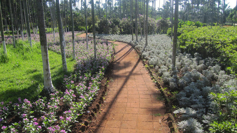 ????(?？?? ?? 10? ??? ‘???(金牛嶺)??’