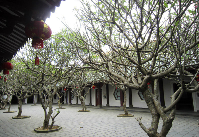 ????(?？?? ?? 10? ??? ‘???(瓊臺) ??’