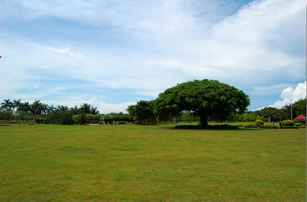 ????(?？?? ?? 10? ??? '????(萬綠園)'