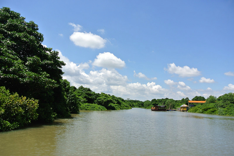 ????(?？?? ?? 10? ??? ‘????(東寨港) ????’