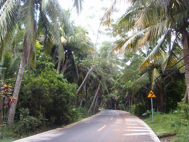 ????(?？?? ?? 10? ??? ‘????(東寨港) ????’