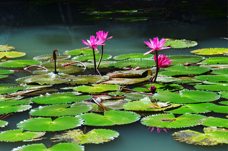 ??(三亞)? ?? ???, '?????????'