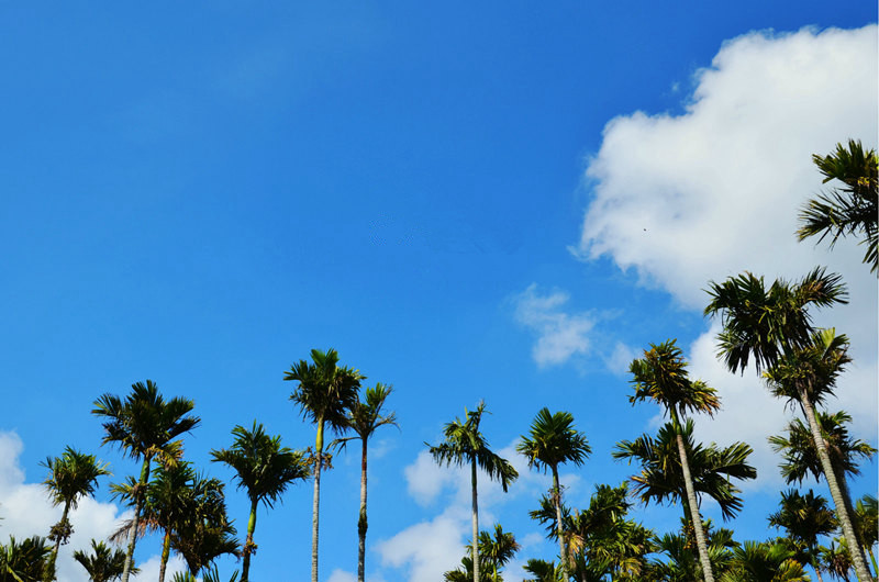 ??(三亞)? ?? ???,'???(呀諾達) ????'