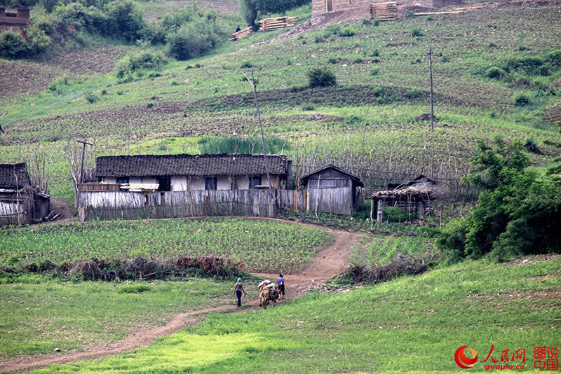 ??? ??? ??? ??, ??? ??? ?? ?