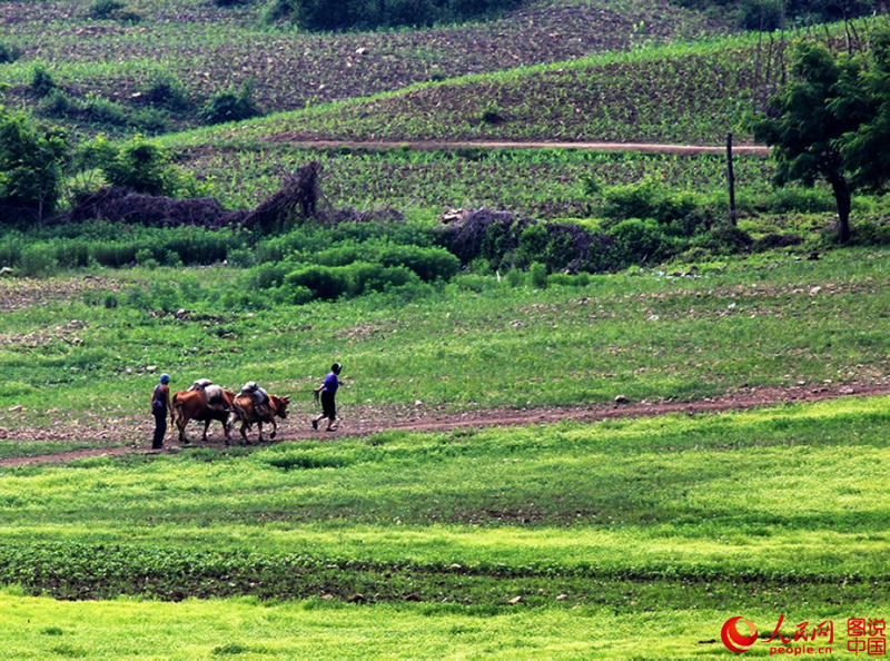 ??? ??? ??? ??, ??? ??? ?? ?