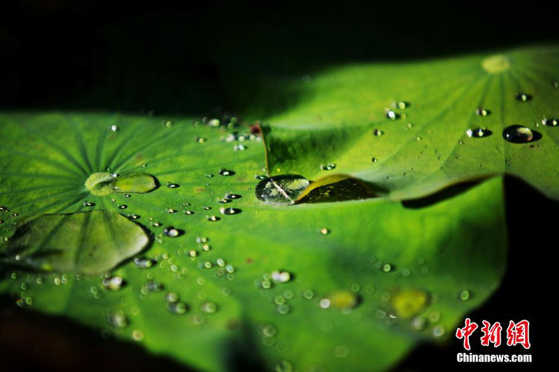 ?? ??? ?? ??…??? ??? ? ??? ??