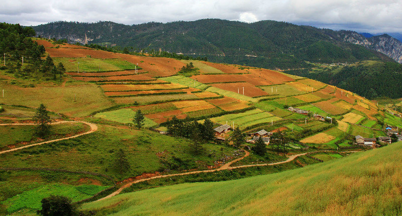 ???? ???(香格裡拉大峽谷)