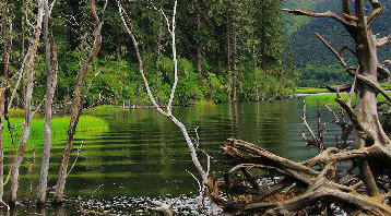 ???(普達措)?????? ??3