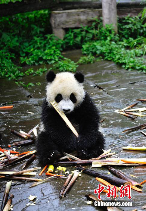 ‘?? ???’? ?? ??, ????? ??