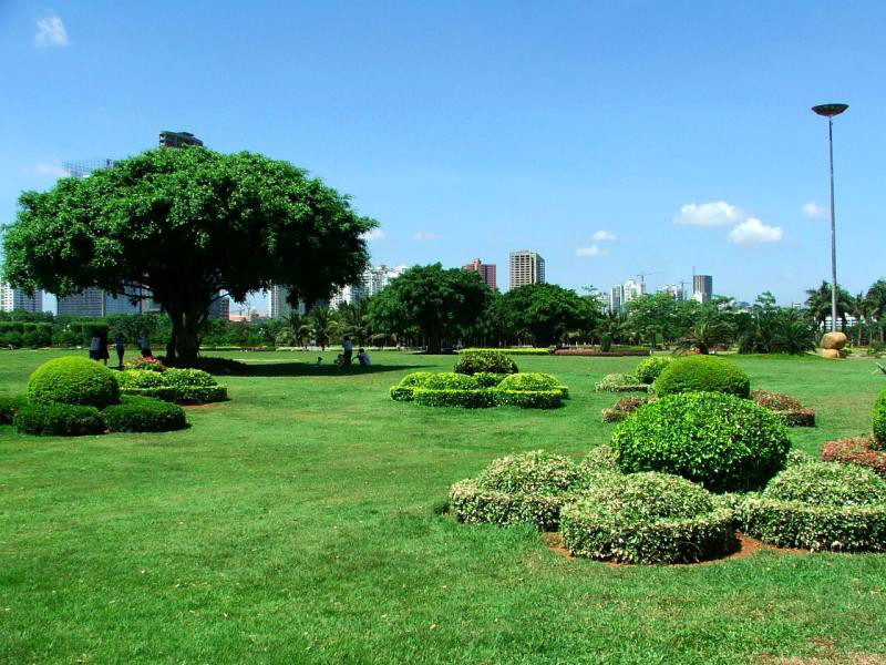 ????(?？?? ?? 10? ??? '????(萬綠園)'