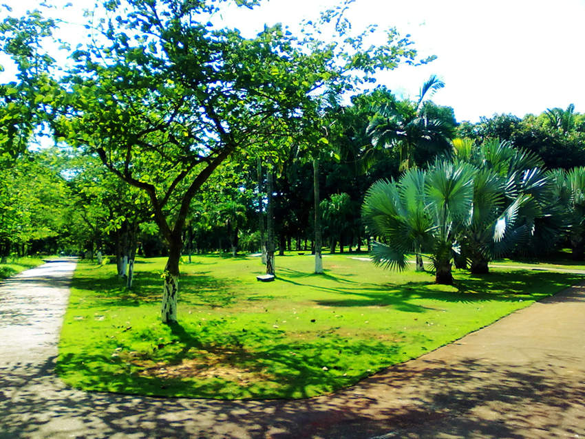 ????(?？?? ?? 10? ??? ‘???(金牛嶺)??’