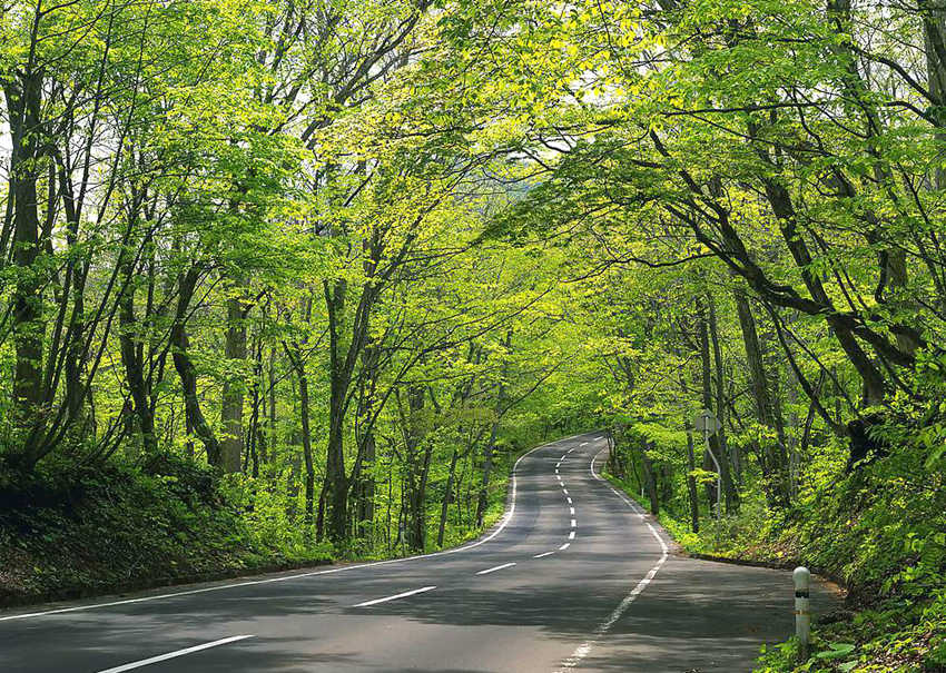 ????(?？?, ???? ???? ???? ???