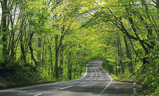 ????(?？???? ?? ?????(?？? ??? ???? ??(興隆) ??, ?? ??, ?? ?? ?? ??? ? ???, ?????? ??. ?? ???? ?? ??? ??? ??? ??? ??? ??? ??.??? ???? ?? ???? ???? ??? ??? ???? ???... [???] 