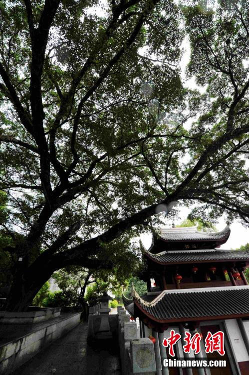 ?? ???, ?? ‘????’ ???? ??