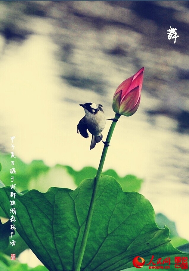 ??? ?? ’?1? ??????’ ??? ??