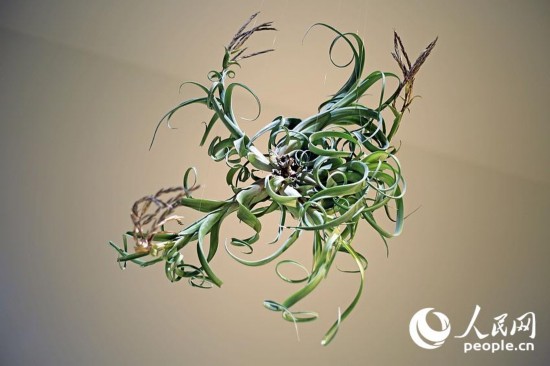 ‘?? ????’,??? ?? ?????? ??