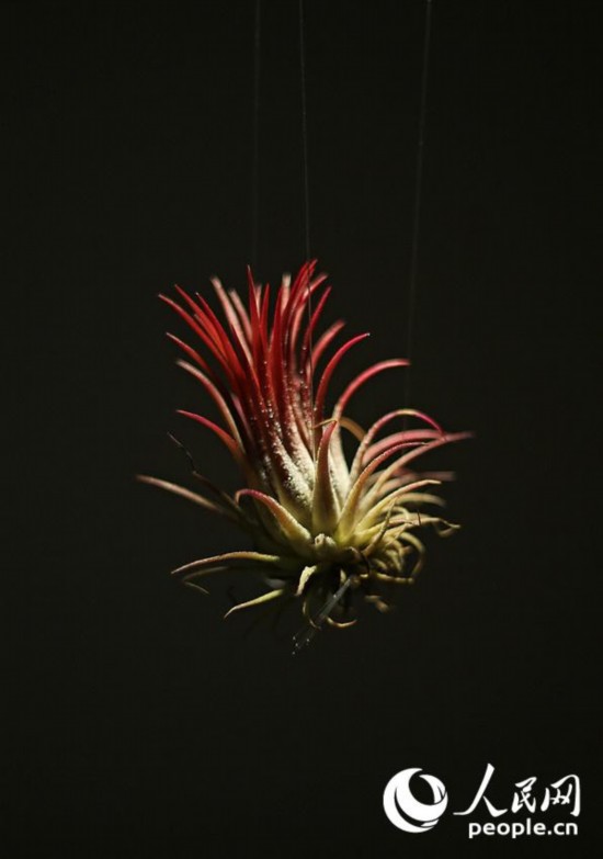 ‘?? ????’,??? ?? ?????? ??