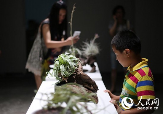 ‘?? ????’,??? ?? ?????? ??