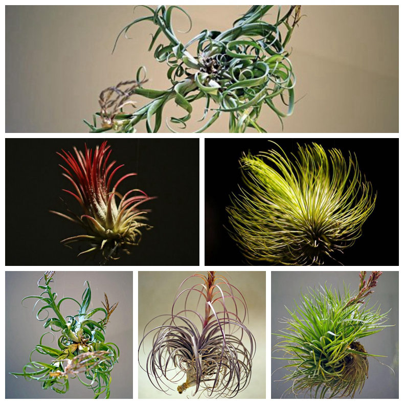 ‘?? ????’,??? ?? ?????? ??