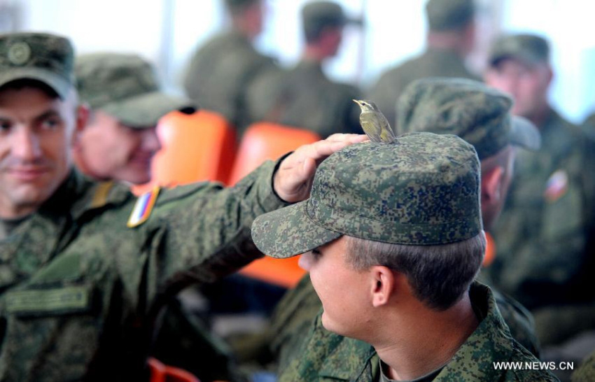 ‘???? - 2014’ ??? ?????? 24? ?? 