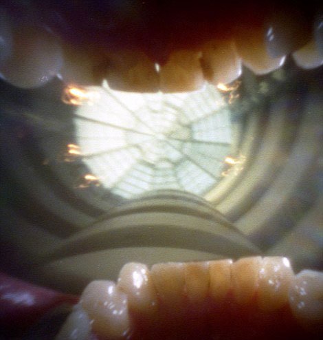 52?? ?? ??, ?? ??? ??~ ????