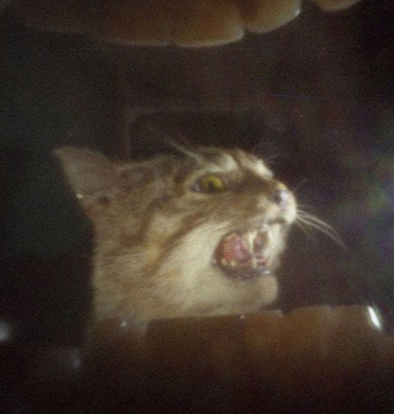 52?? ?? ??, ?? ??? ??~ ????