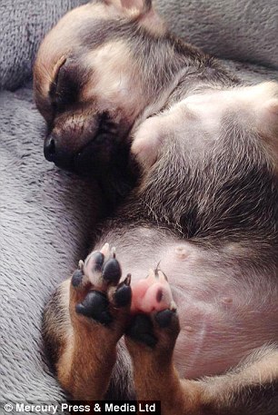 ?? ?? ???…?? ???? ?? ?