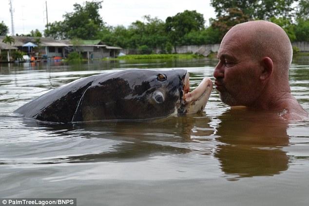 英 ???,63Kg ?? ?? ??…???? ??