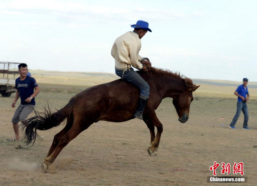 ??-?? ??? ?? ????? ?? 