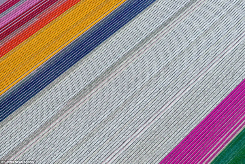 ???? ?? ????, ??? ??? ??? ??