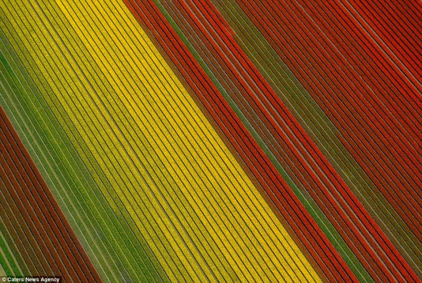 ???? ?? ????, ??? ??? ??? ??