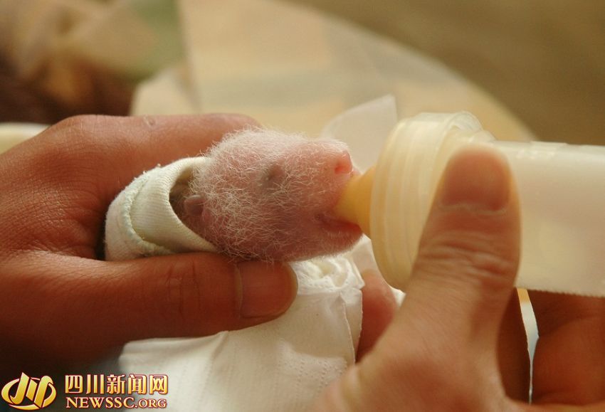 ???? ?? ???? ????: ?? ?? ??? 1/993? ??