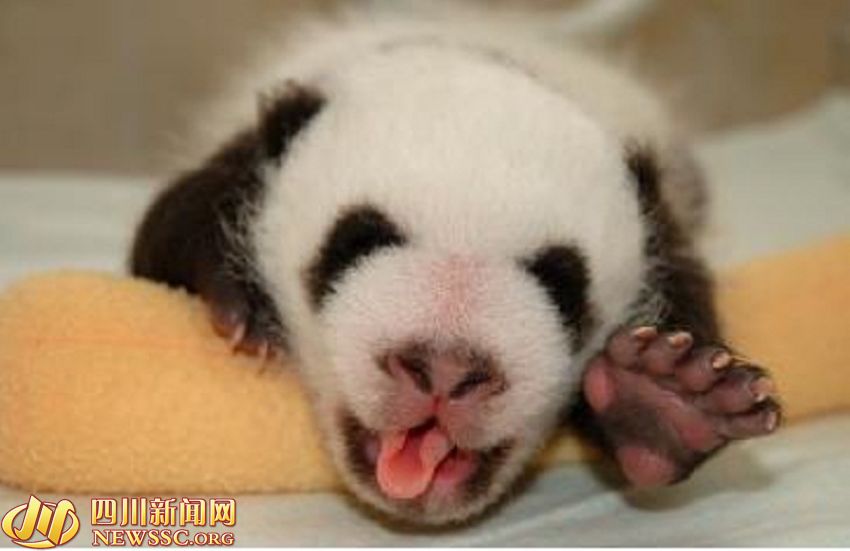 ???? ?? ???? ????: ?? ?? ??? 1/993? ??