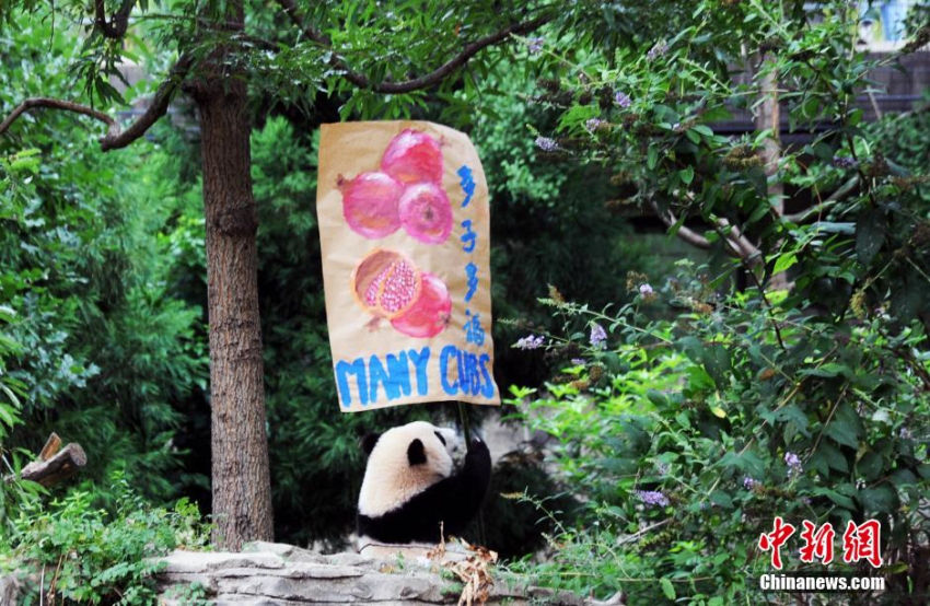 美 ????? ?? ‘????’ ? ? ??