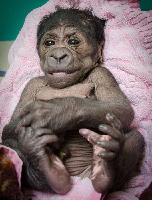 美 ??? ?? ????, ‘?? ?? ??’ 