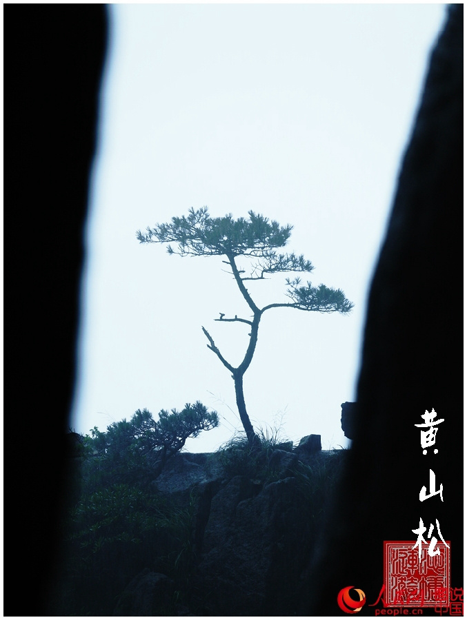 ?? ?? ??(奇山) – ??…???? ??