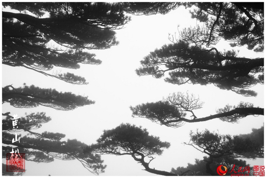 ?? ?? ??(奇山) – ??…???? ??