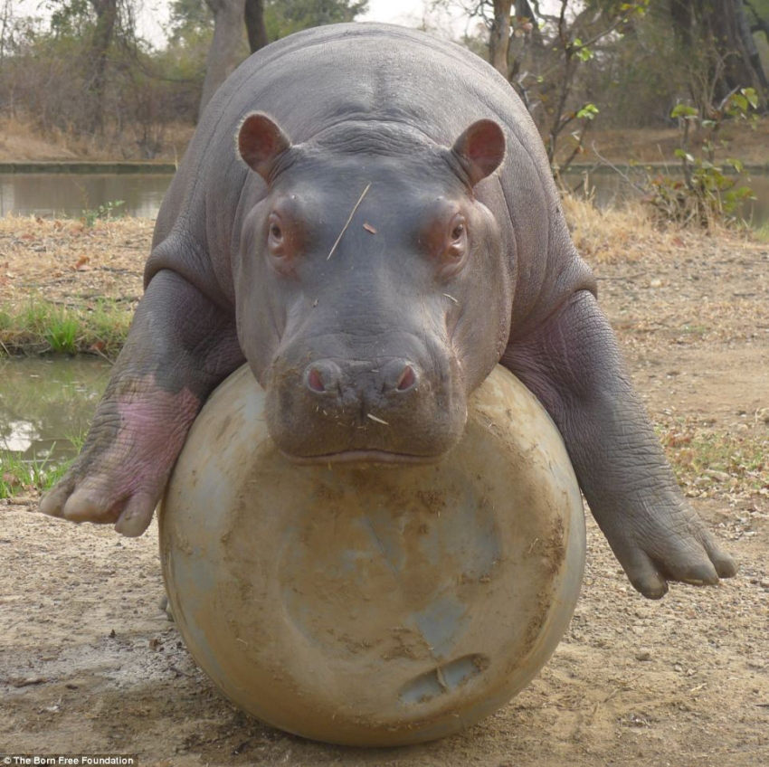 ??? ?? ??, ??? ??? ??? ?? 