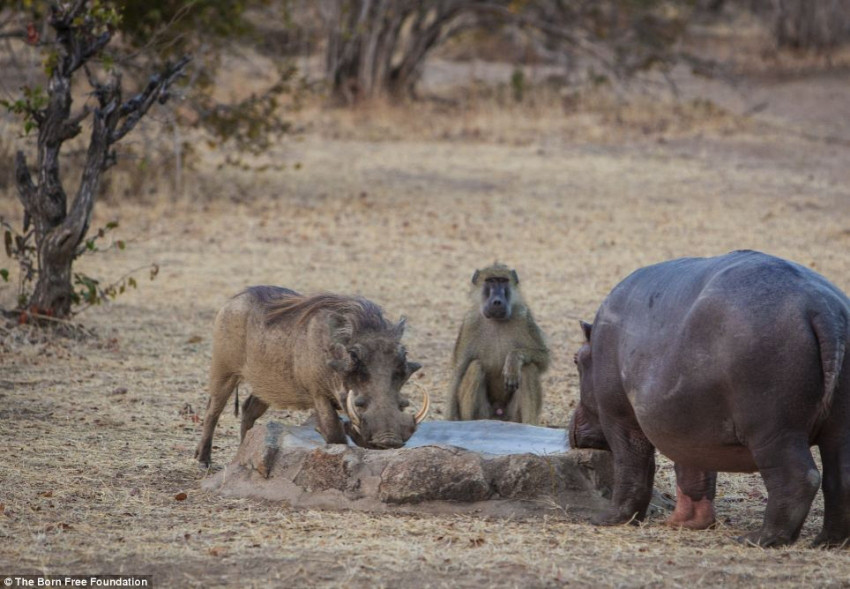 ??? ?? ??, ??? ??? ??? ?? 