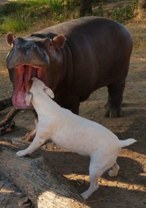 ??? ?? ??, ??? ??? ??? ?? 