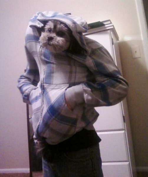 大 ??! ?? ? ‘?????’