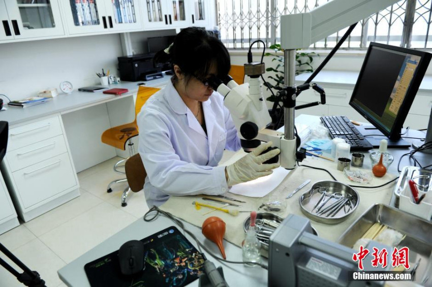 ?? ???? ?(唐)? ??? ?? ??? ??