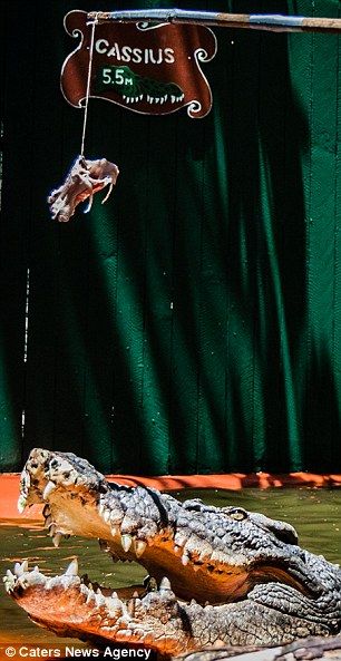 ?? 84? ???, ??? 30?? ?? ??