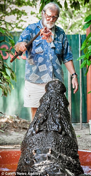 ?? 84? ???, ??? 30?? ?? ??